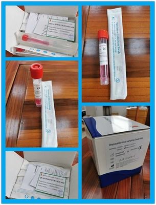 10 मिलीलीटर डिस्पोजेबल नमूना संग्रह ट्यूब